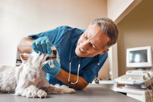 Best Weekend Emergency Dentist in Copeland, OK